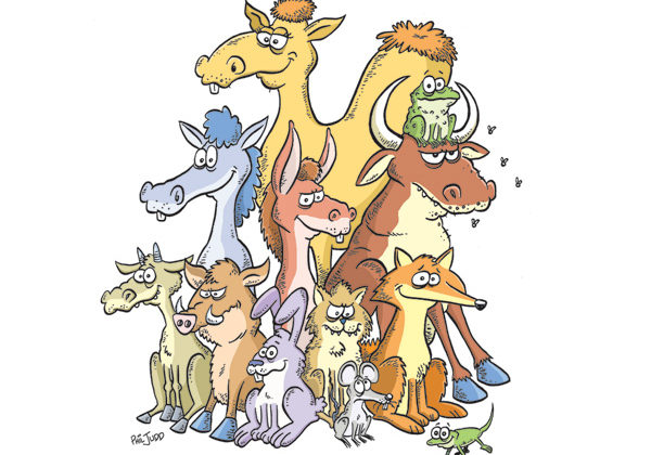 Funny Ferals Cartoon Workshop